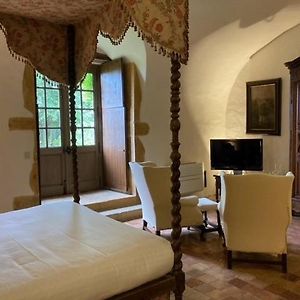 Garden Suite